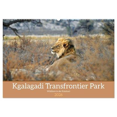 Kgalagadi - Fauna und Wildtiere in der Kalahari (Wandkalender 2026 DIN A2 quer), CALVENDO Monatskalender