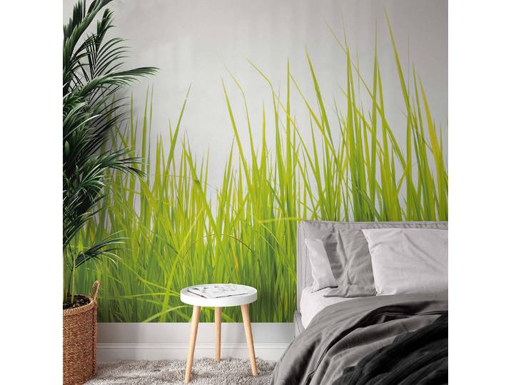 Papier peint High Grass 384cm