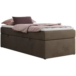 BOXBETT ZERO 90/200 - Braun Velvet - H3 - Topper T25