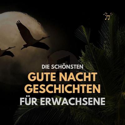 Die schönsten Gute Nacht Geschichten für Erwachsene - Institut für Stressabbau, Audio, 4099995378610
