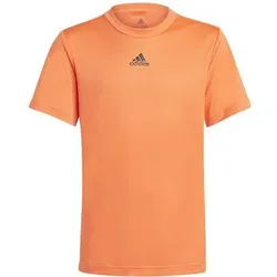ADIDAS Kinder Shirt B A.R. TEE, Größe 164 in Orange Orange