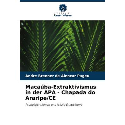 Macaúba-Extraktivismus in der APA - Chapada do Araripe/CE -