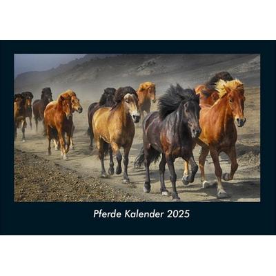 Pferde Kalender 2025 Fotokalender DIN A4