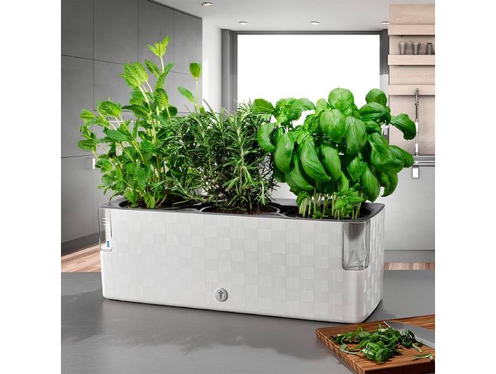 Cobble Trio - Slimme kruidenpot met bewateringssysteem - Kristalwit - Kruidenbak - Kweekbak - Plantenbak