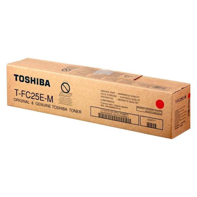 Toshiba Tfc25em (M) (TFC25EM)