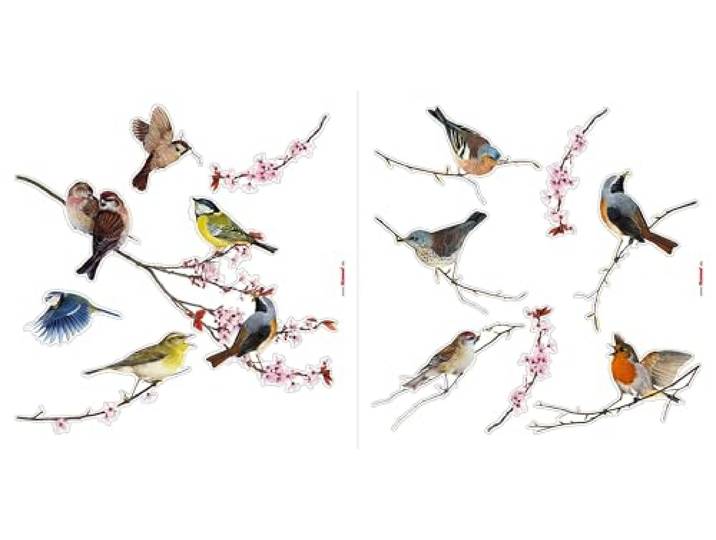 Komar Fenstersticker Vögel - Birds - 2 Bogen in der Größe 31 x 31 cm - Fensteraufkleber, Fensterdeko, Fensterfolie, Blaumeise, Kohlmeise, Rotkehlchen, Gartenvögel, gegen Vogelschlag