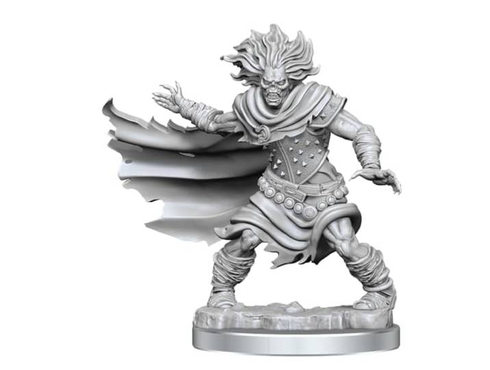 D & D Frameworks W1: Wight Miniatuur