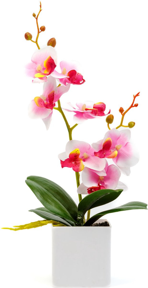 Kunstplant Orchidee Woondecoratie 3 soorten 37 cm
