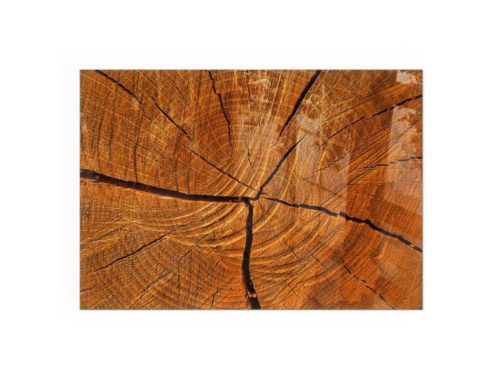 KAMINBODENPLATTE 100x70 cm - Holzmaserung im Querschnitt