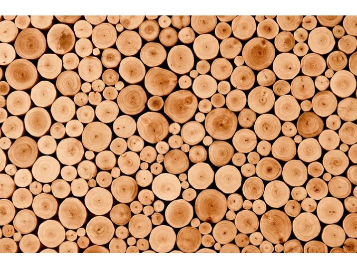Fototapete PAPERMOON Round Teak Wood , bunt, B:3,5m L:2,6m, Vlies, Tapeten, Fototapete