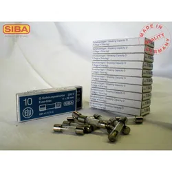 Siba G-Sicherung T 2,5A 173100