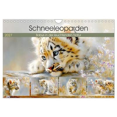 Schneeleoparden. Babys in der leuchtenden Natur (Wandkalender 2027 DIN A4 quer), CALVENDO Monatskalender