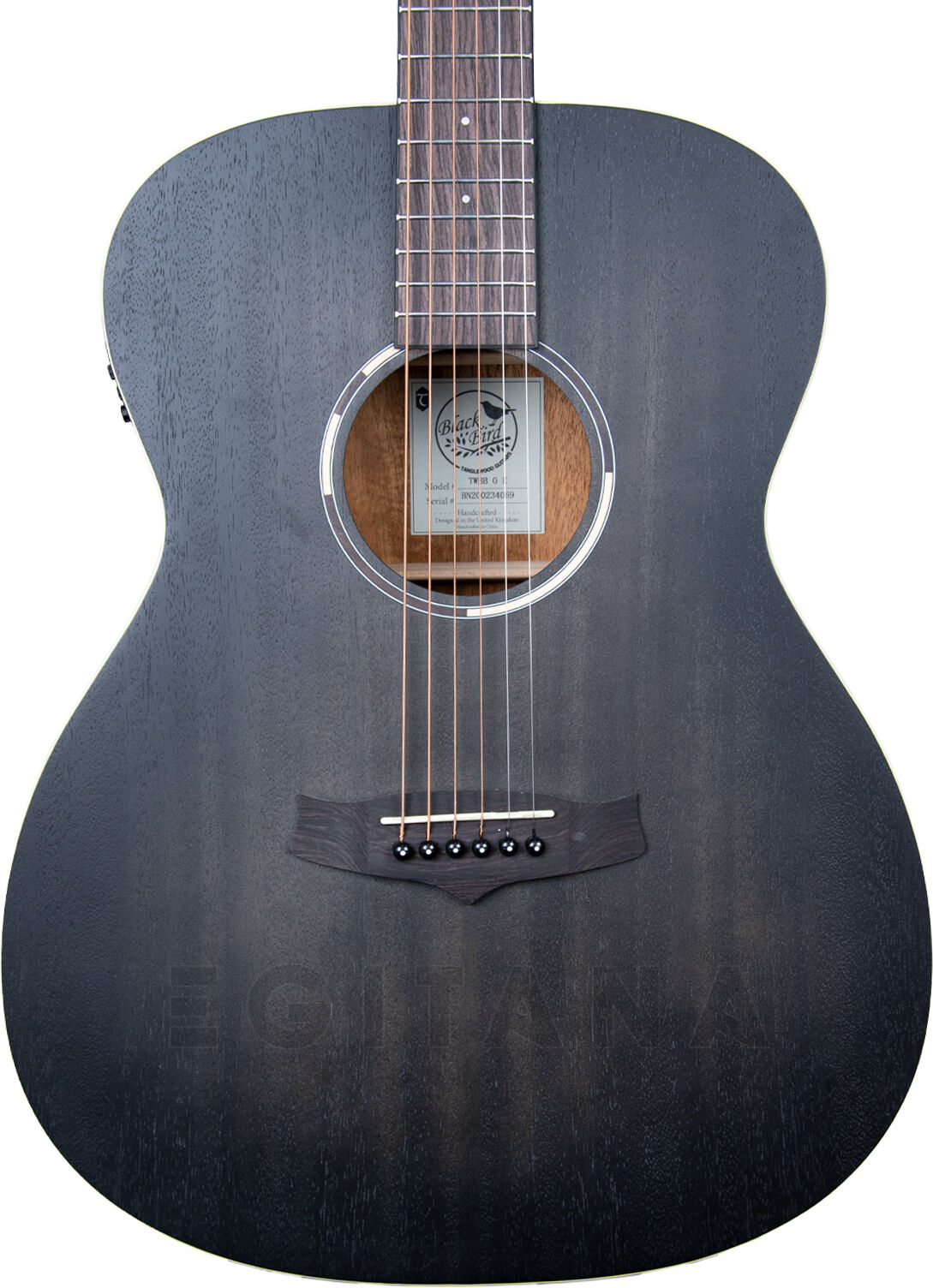 Tanglewood TWBB OE  Guitarra Dreadnought