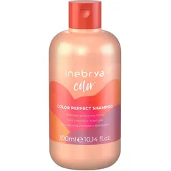 300ml Inebrya Color Color Perfect Shampoo