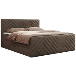 BOXBETT PARIS DUO 160/200 - Braun Velvet - H4
