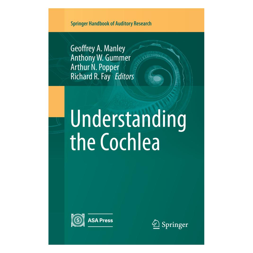 Springer Understanding the Cochlea (Englisch, Softcover, Anthony W. Gummer, Arthur N Popper, Geoffrey A. Manley, Richard R Fay) (56051685)