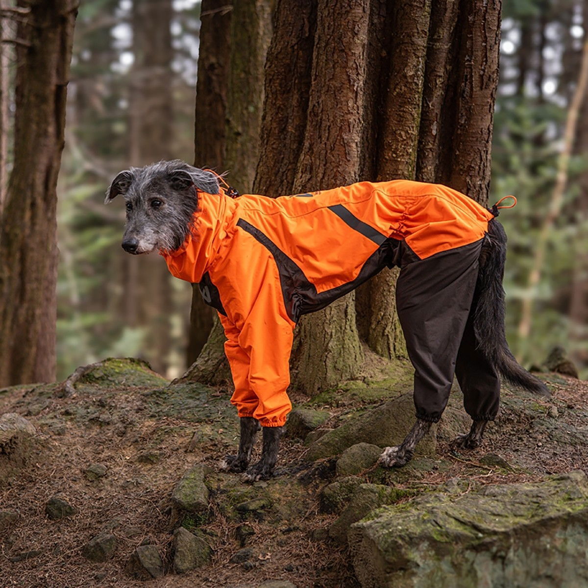 Non-Stop Dogwear Fjord Hundoverall Orange 45