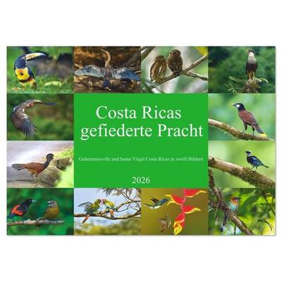 Costa Ricas gefiederte Pracht (Tischkalender 2026 DIN A5 quer), CALVENDO Monatskalender