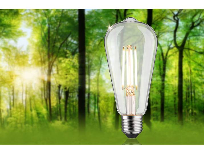 Ampoule LED Bulbe Ø 6cm Transparent