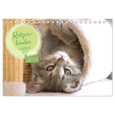 Katzenkinder - zauberhafte Wesen (Tischkalender 2027 DIN A5 quer), CALVENDO Monatskalender