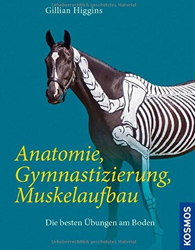 Gillian Higgins - Anatomie, Gymnastizierung, Muskelaufbau: Die besten Übungen am Boden - Preis vom 10.10.2026 11:48:34 h