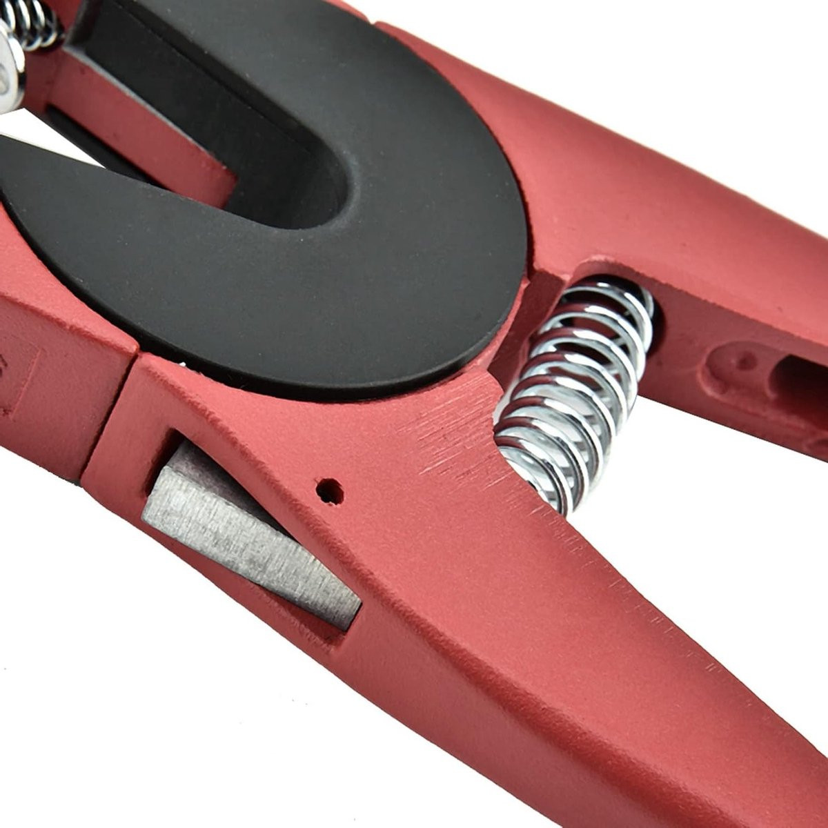 Oren Tag Pliers voor Varkens en Runderen - Dieren Gereedschap Set met Ringen en Rechte Pliers