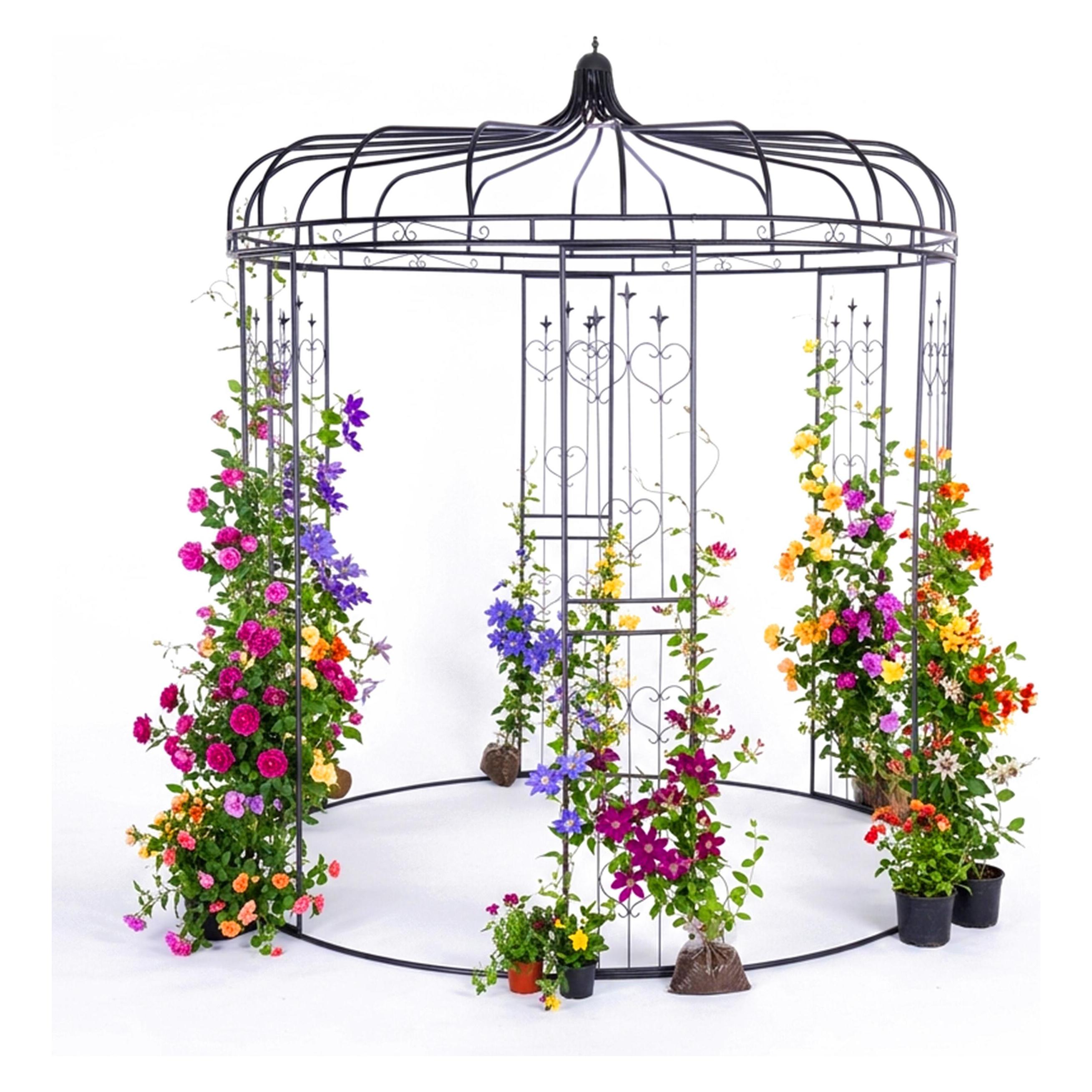 Relaxdays Rosenpavillon (232 cm, 232 cm) (4052025530235)