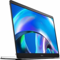 P1425, LED-Monitor 35.6 cm (14 Zoll), silber/schwarz, WUXGA, IPS, tragbar, USB-C