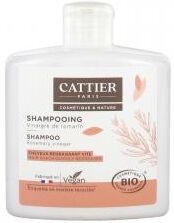 Cattier Shampoing Cheveux Regraissant Rapidement Vinaigre de Romarin Bio 250 ml - Flacon 250 ml