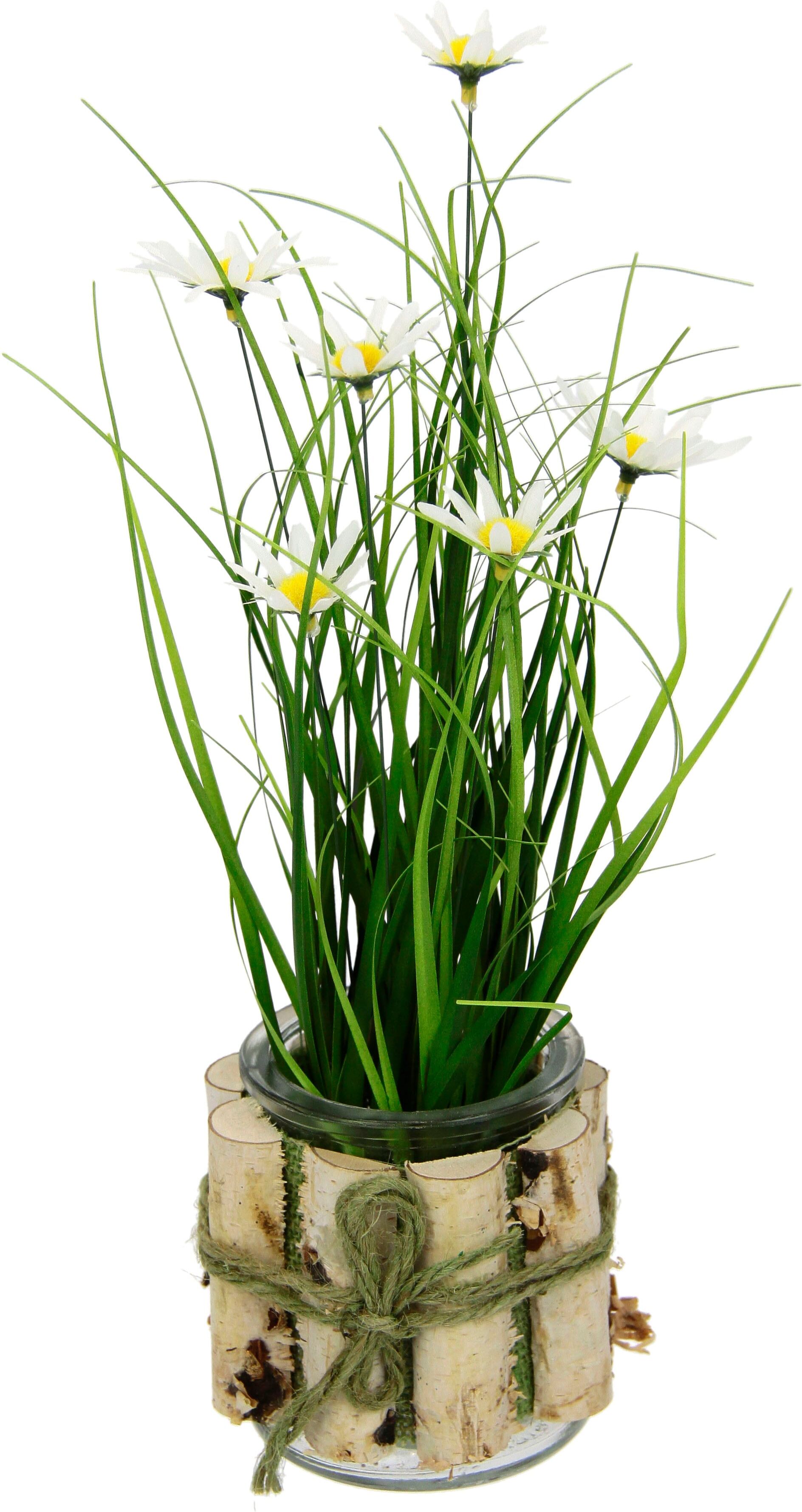 Kunstblume I.GE.A. "Margeriten im Gras", weiß, B:15cm H:33cm, Kunststoff, Kunstpflanzen, Kunstblume, 3er Set