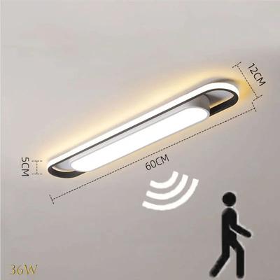 Inspired Living Modern Motion Sensor Ceiling Light Slim LED Ceiling Light For Hallway Bedroom And Closet 60cm And Induction neutral Light 110v