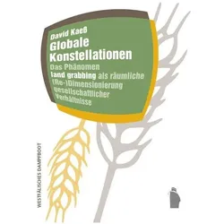 Globale Konstellationen, Fachbücher von David Kaess