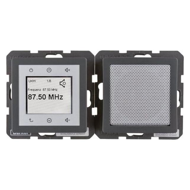 Berker BERK Radio Touch (DAB+, FM, Bluetooth) (30806086)