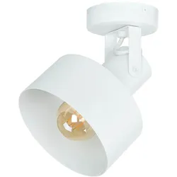 Licht-Erlebnisse, Deckenstrahler, Rif (E27, 800 lm)