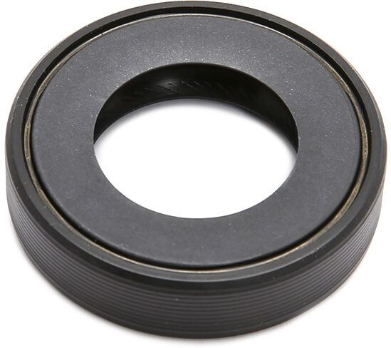 SASIC 1213463 Shaft Seal, differential
