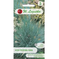 Blaues Futtergras – silberblau