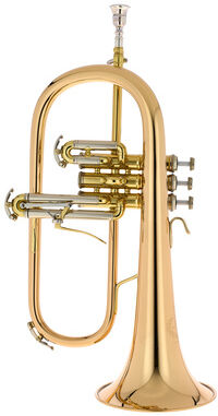B&S 3145G-L Challenger I