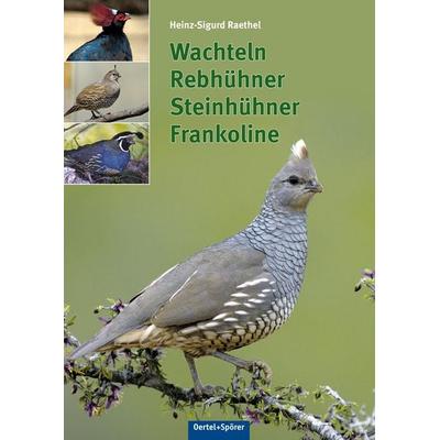 Wachteln, Rebhühner, Frankoline, Gebundene Ausgabe von Heinz-Sigurd Raethel, Oertel u. Spörer, 978-3-88627-557-1