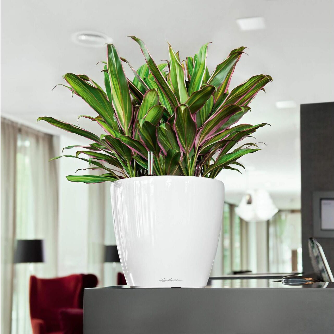 Blumentopf "Lechuza Classico Premium 28 LS", rot, Pflanzgefässe, Blumentopf rot Einheitsgröße