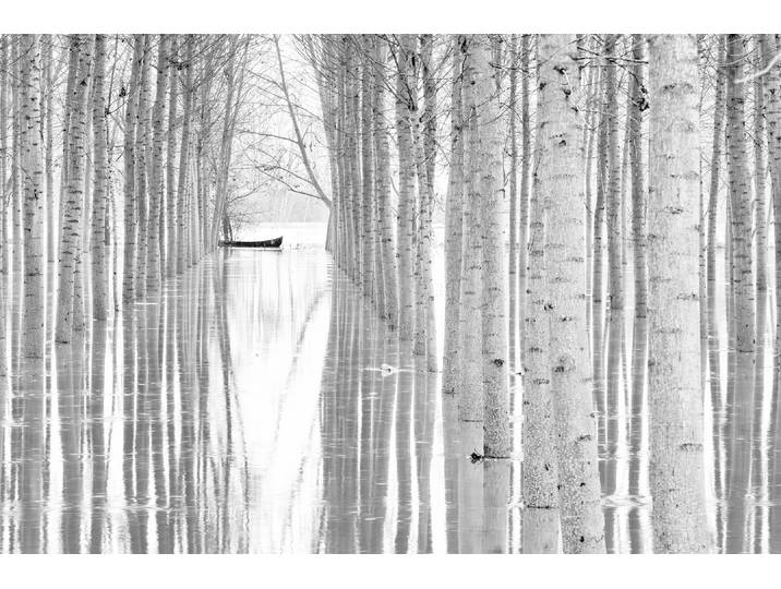 Fototapete PAPERMOON Photo-Art AGLIONI SIMONE, BEWEGUNGSFREIHEIT , bunt, B:5m L:2,8m, Vlies, Tapeten, Fototapete