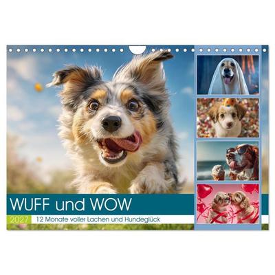 WUFF und WOW (Wandkalender 2027 DIN A4 quer), CALVENDO Monatskalender