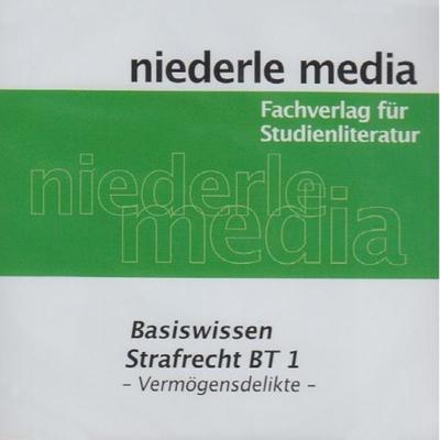 Heinze, F: Basiswissen Strafrecht BT 1/Vermögen./CD - Florian Heinze, CD, 9783867240116