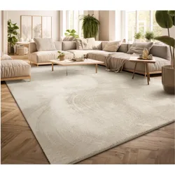 TT Home, Teppich, Wohnzimmer (400 x 300 cm)