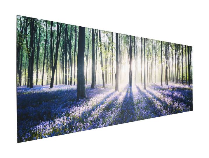Wandbild Deco Panel 52x156 Enchanted Forest