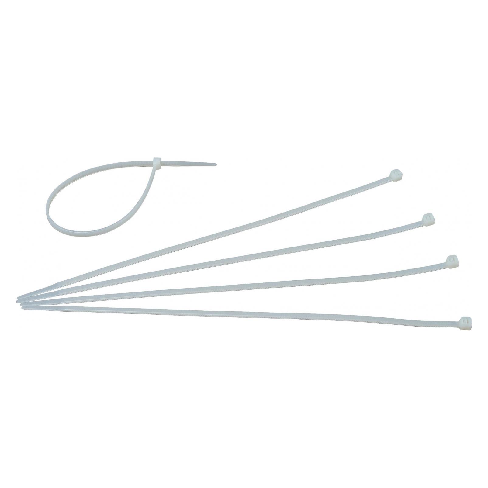Kopp Kabelbinder 300x4,8mm, Farbe: transparent, Inhalt: 50 Stück (300 mm, 50 Stk.) (356804091-Kopp-)