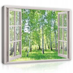 BILDER auf Leinwand Wald Natur Modern 100x70