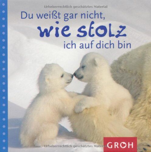 Dorothée Bleker - Du weißt gar nicht, wie stolz ich auf dich bin - Preis vom 12.10.2026 11:37:12 h