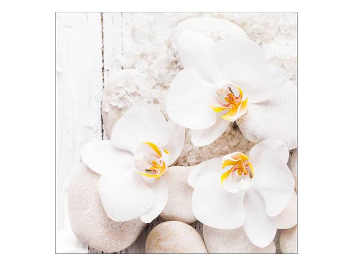 Floatglasbild White & Yellow Flowers I Floatglas Multicolor 30 x 30cm