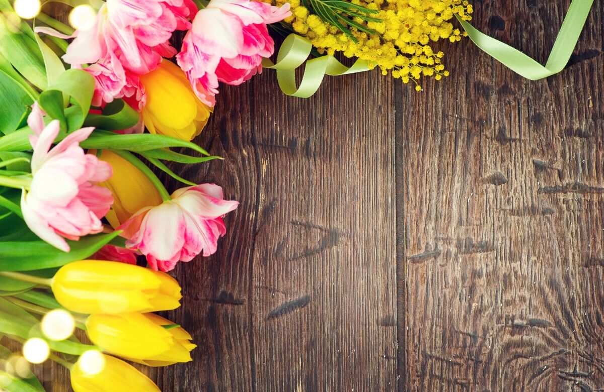 Fototapete PAPERMOON "HOLZ-WAND-BLUMEN DEKOR TULPEN MIMOSEN ABSTRAKT FANTASIE", bunt, B:2,5m L:1,86m, Vlies, Tapeten, Fototapete bunt B/L: 2,5m x 1,86m, Bahnen: 5 Stk.