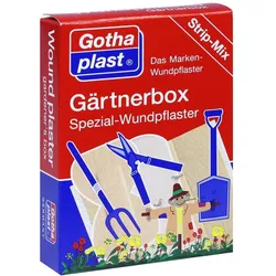 Gothaplast Gärtnerbox Pflaster 1 St